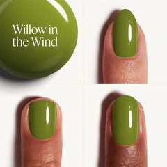 Willow In The Wind